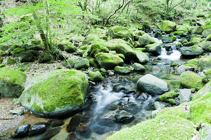 山溪流经苔藓覆盖的岩石