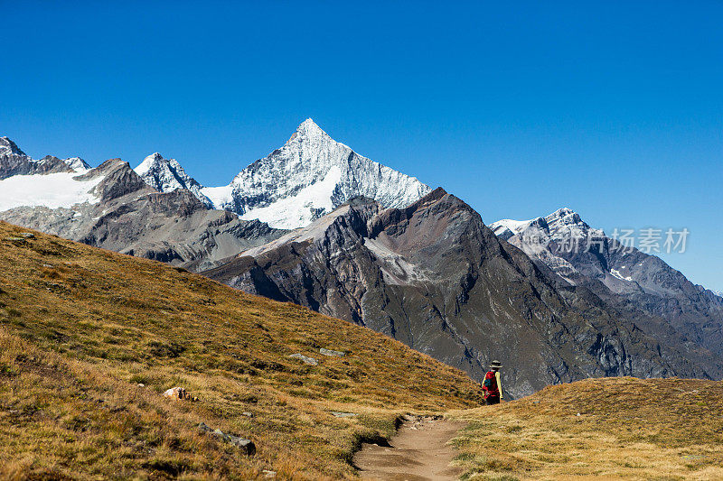 在瑞士阿尔卑斯山徒步旅行