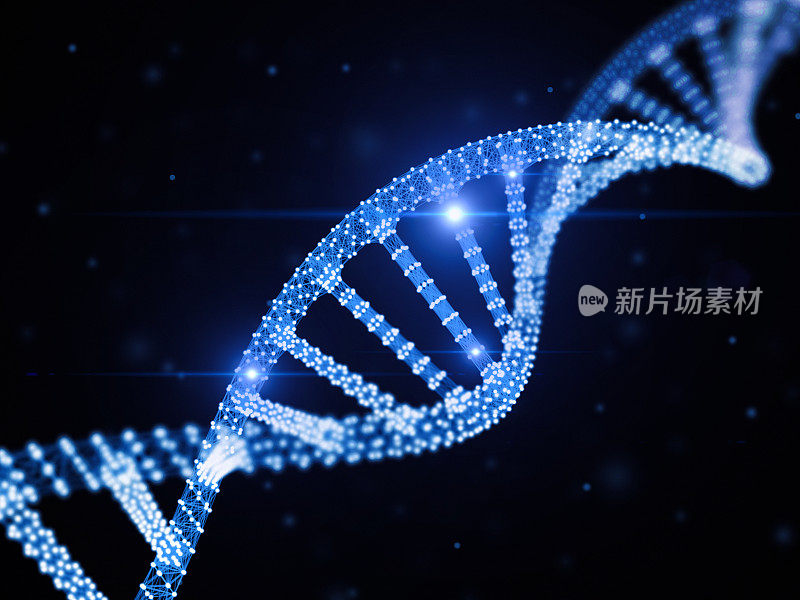 数字DNA