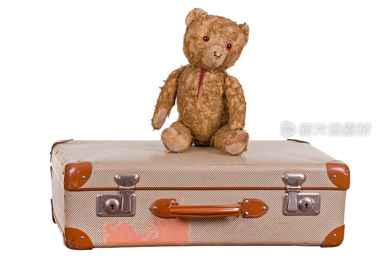 老泰迪熊坐在手提箱上