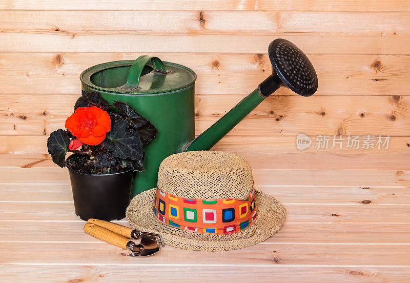 海棠幼苗花，帽子和喷壶