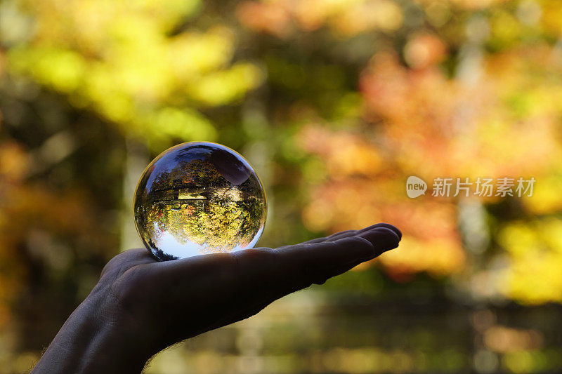 水晶球，美丽的加拿大秋天森林背景