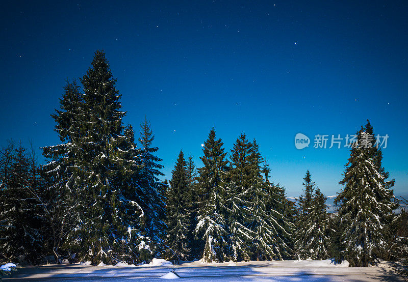 雪山里的夜星