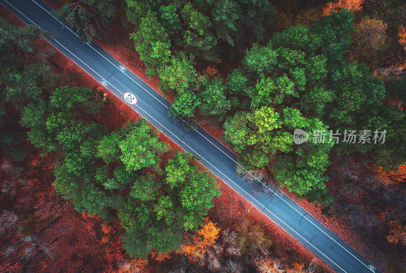 鸟瞰图的道路在美丽的秋天森林。令人惊叹的景观:空旷的乡村道路，白天树木长着绿色、红色和橙色的叶子。高速公路穿过公园。俯视图从飞行的无人机。自然