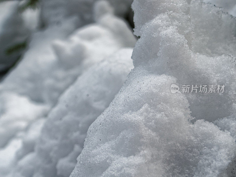 冬季森林的雪