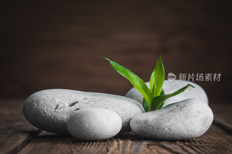 白色禅宗平衡石，兰花和竹植物在木桌上