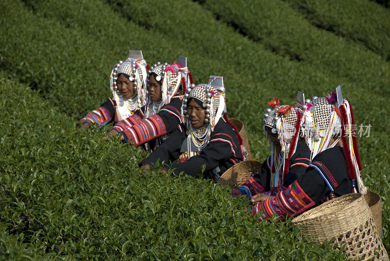 阿卡茶器