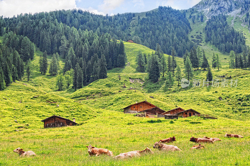 Tirol(奥地利欧洲阿尔卑斯山)Schoenach山谷农场