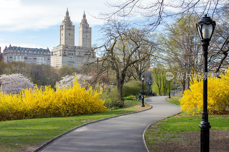 中央公园纽约市的春天景观