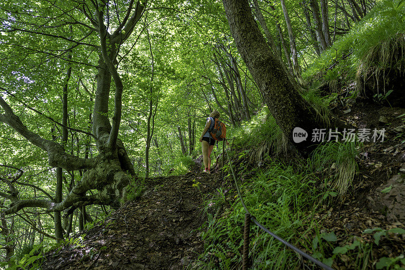 年长妇女徒步旅行朱利安阿尔卑斯山在春天，Primorska，斯洛文尼亚，欧洲