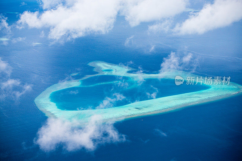 珊瑚atol
