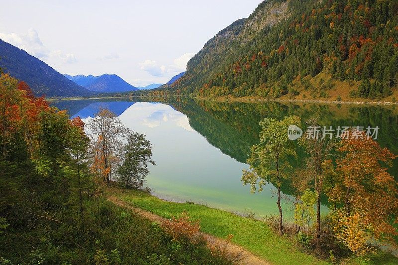 森林湖反射和高山景观在秋天-巴伐利亚阿尔卑斯，德国