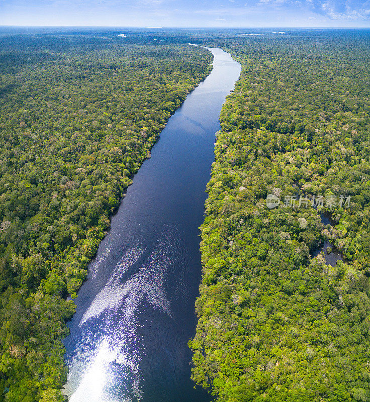 巴西的亚马逊河