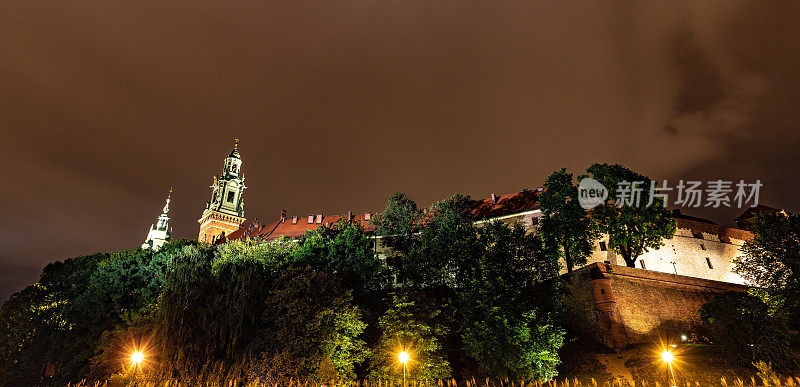 波兰克拉科夫老城树上瓦维尔大教堂的尖顶