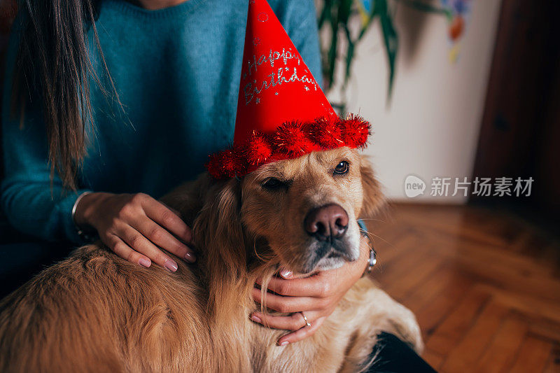 给我的狗庆祝生日