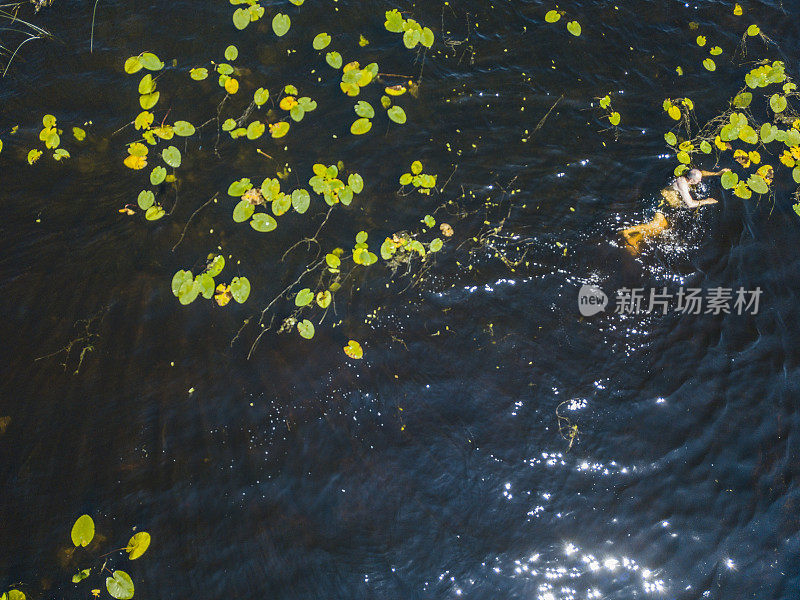 鸟瞰图的人游泳在一个湖在夏天，罗斯康芒，爱尔兰。