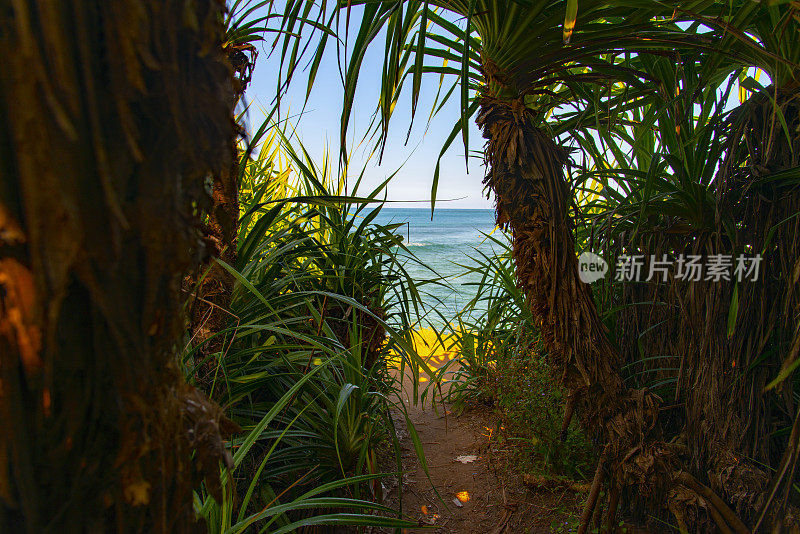 退出雨林