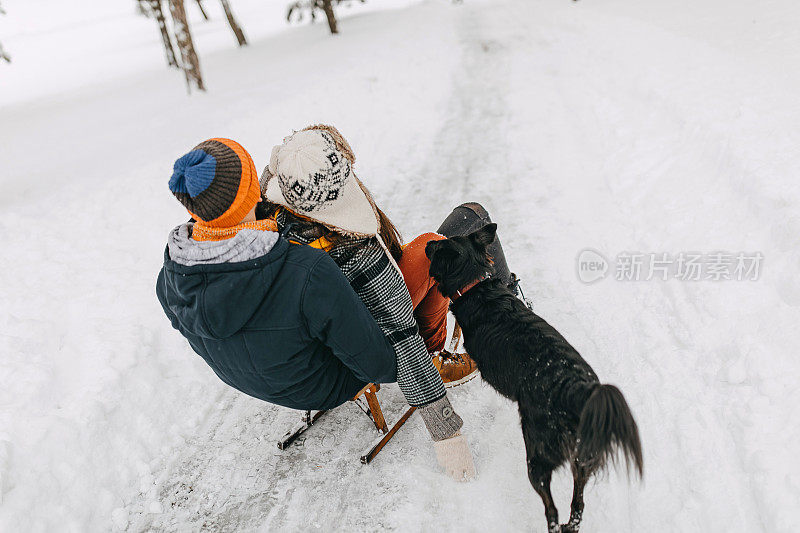一对夫妇在雪中与狗玩耍