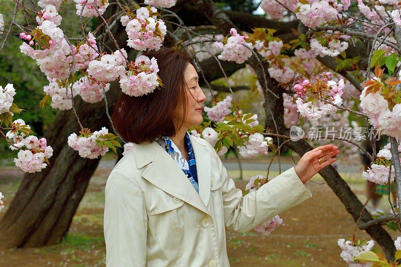 日本女子在东京赏樱花