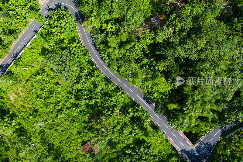 巴厘岛，热带森林里的路