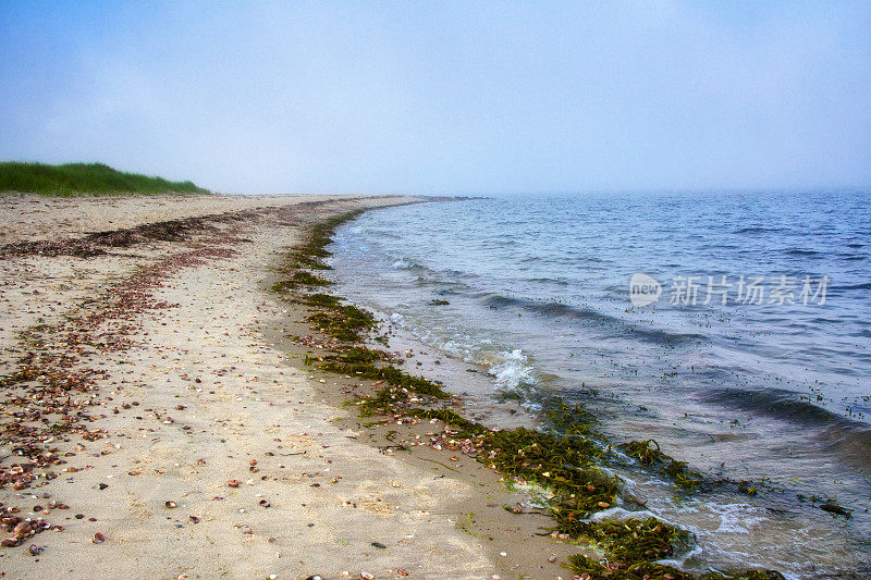 美国新英格兰，南塔开特湾，科德角，海岸线海滩的夏日景致