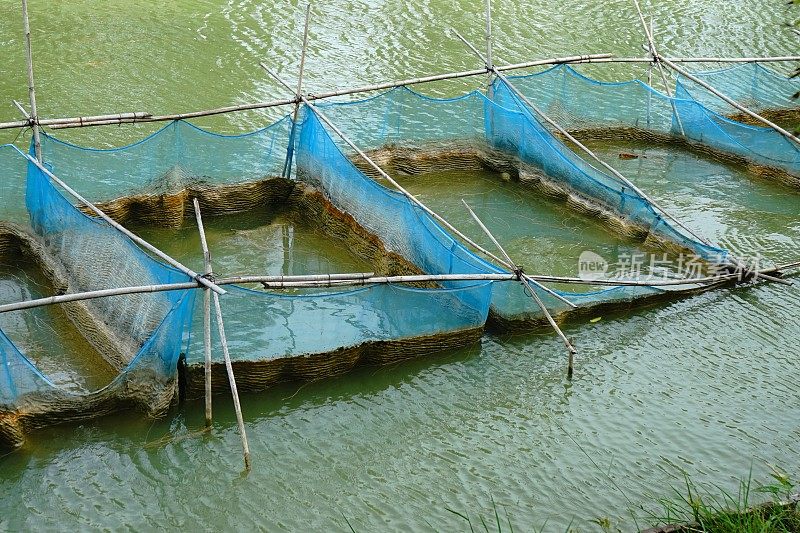 漂浮在河中的鱼笼，用于养鱼