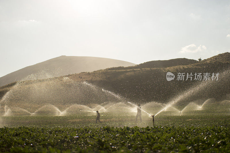 农夫用洒水器浇水