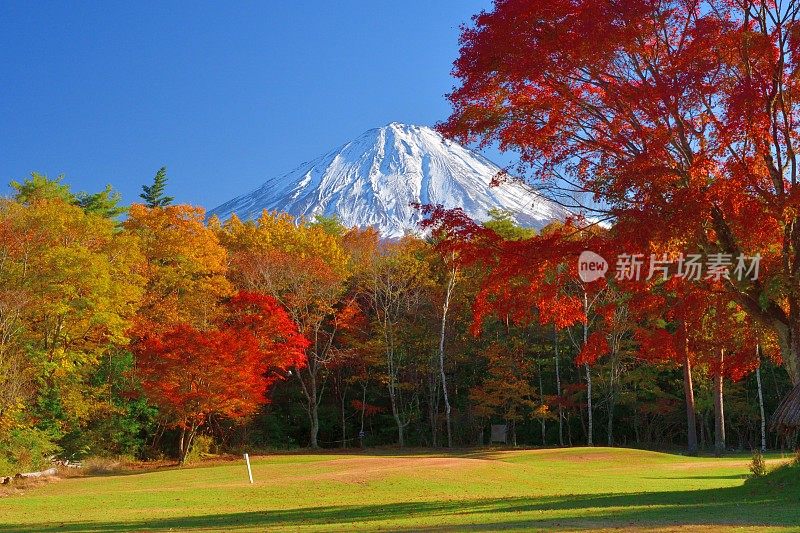 富士山和秋叶色，拍摄于富士五湖地区和富士宫市