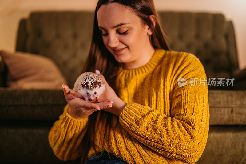 女人玩刺猬