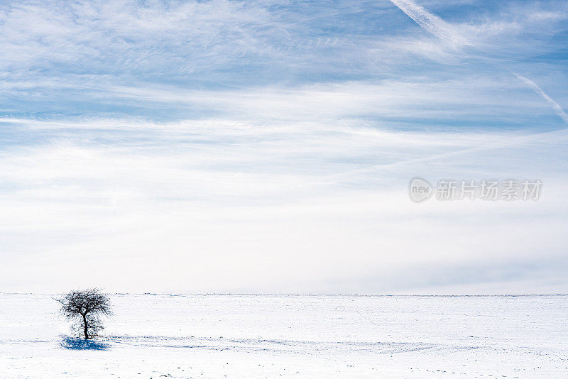 冬天的风景