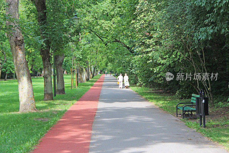 绿树之间有小路和跑步机的夏季公园