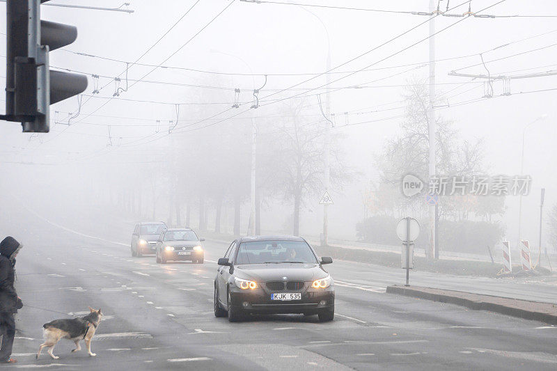 在早晨的道路交通中，遛狗的人经过大雾弥漫的城市街道