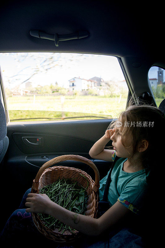 小女孩刚采摘完芦笋回来