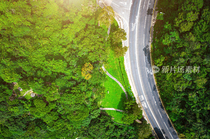 鸟瞰图的乡村道路在绿色的夏季森林。香港的乡郊景观