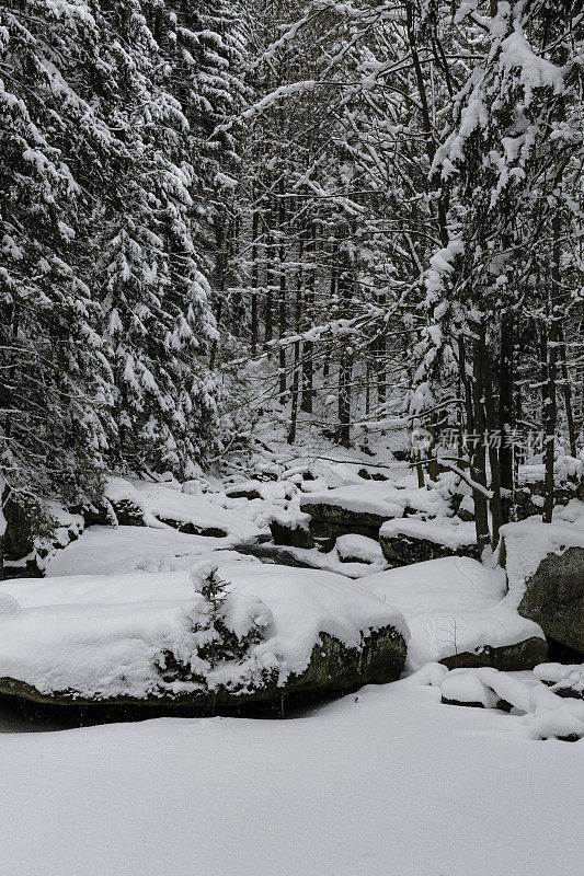 美丽的雪山冬季景观