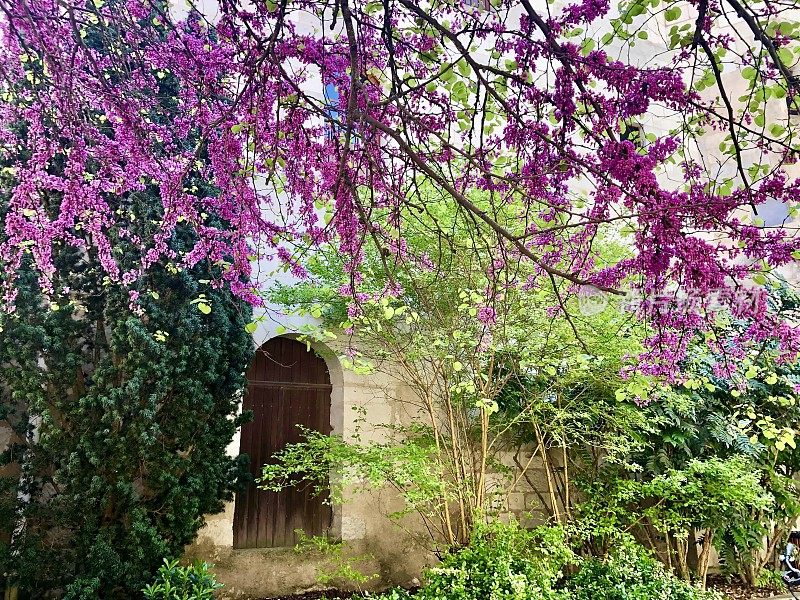 传统建筑立面春暖花开——法国索穆尔