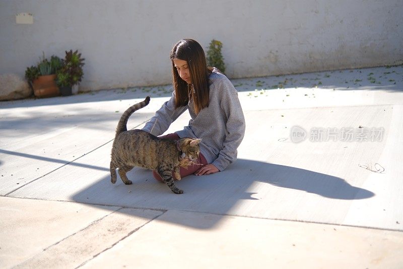 十几岁的女孩坐在水泥地板上玩灰色条纹虎斑猫