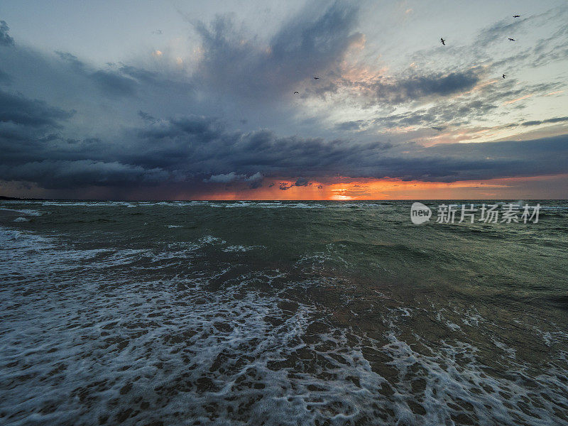 日落时，鸟儿在暴风雨的波罗的海上空飞翔