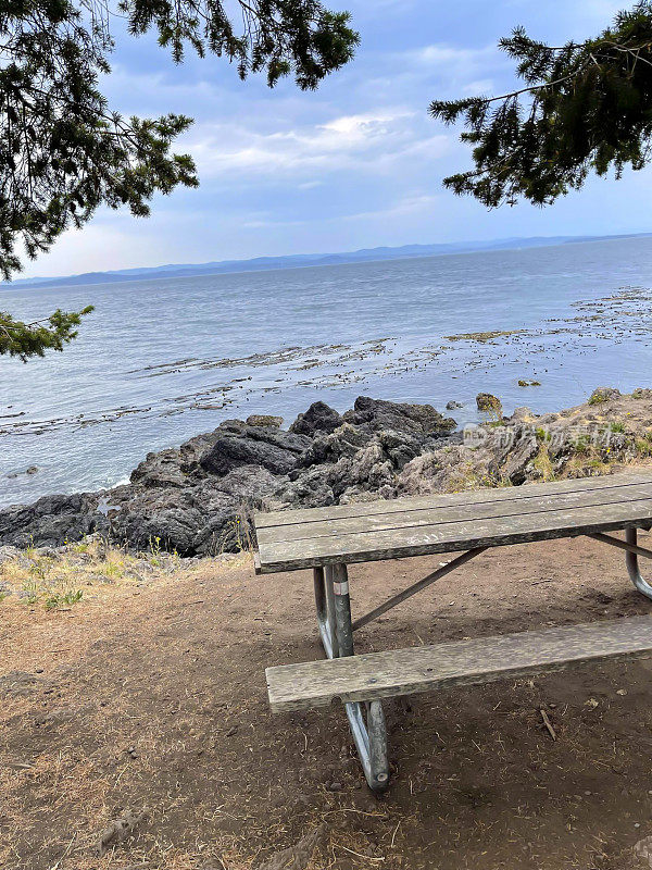 圣胡安群岛石灰窑公园的空野餐桌俯瞰海洋