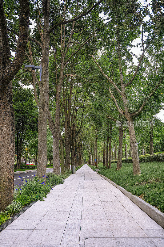 成都城市道路和路灯