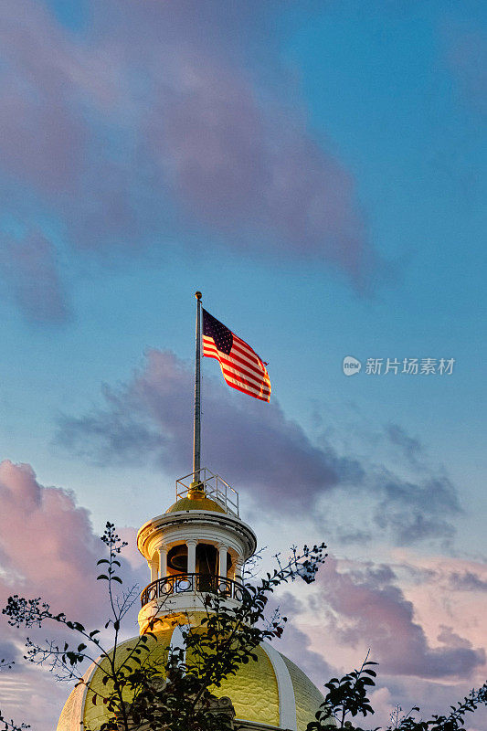 萨凡纳市政厅黄昏时的旗帜