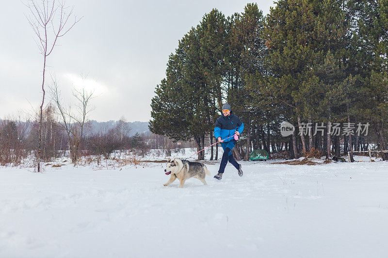 年轻人和西伯利亚哈士奇在雪地里嬉戏奔跑