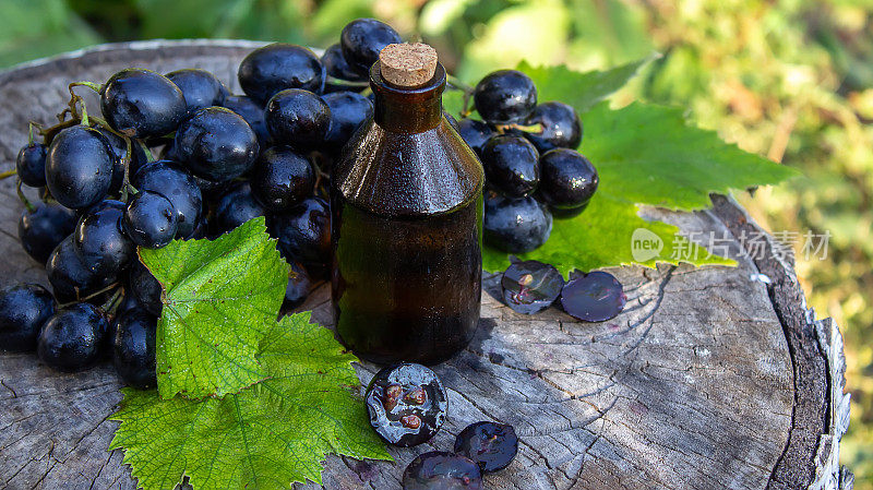 葡萄籽油玻璃罐和新鲜葡萄，用于水疗和身体护理。概念水疗、生物、生态产品