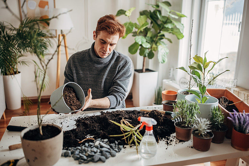 里德海德先生在家里种植室内植物