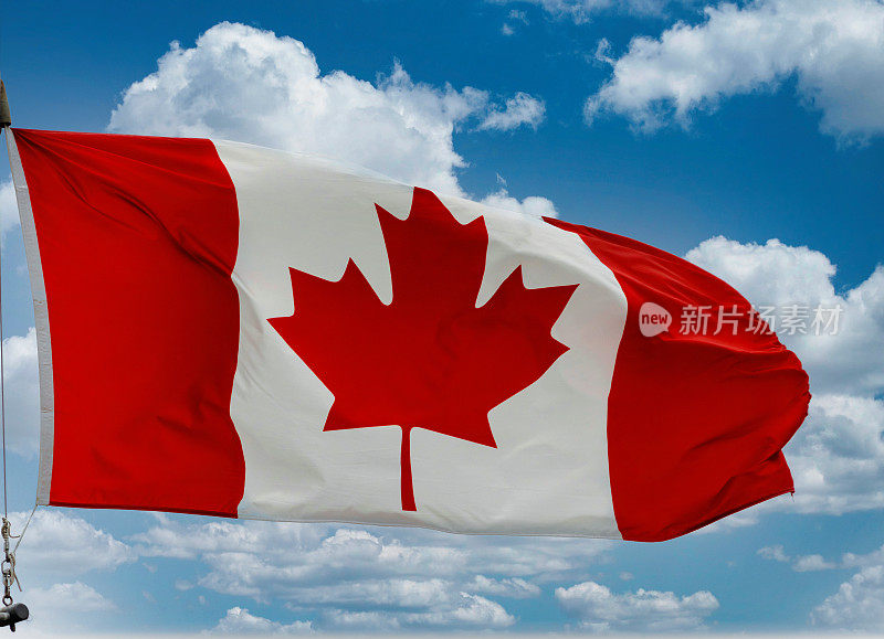 加拿大国旗在蓝天白云下