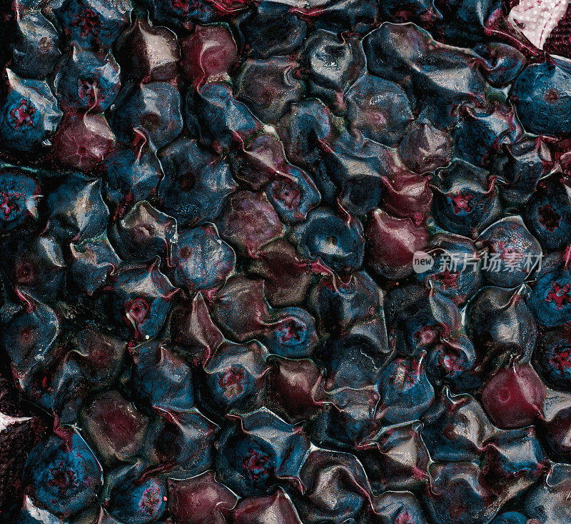 发酵的蓝莓