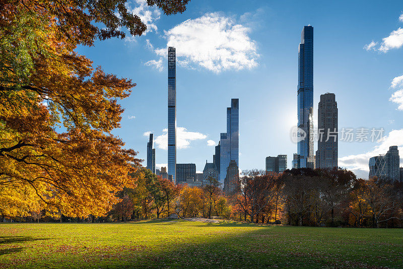 秋天的中央公园绵羊草地草坪，亿万富翁排的摩天大楼。纽约市曼哈顿中城