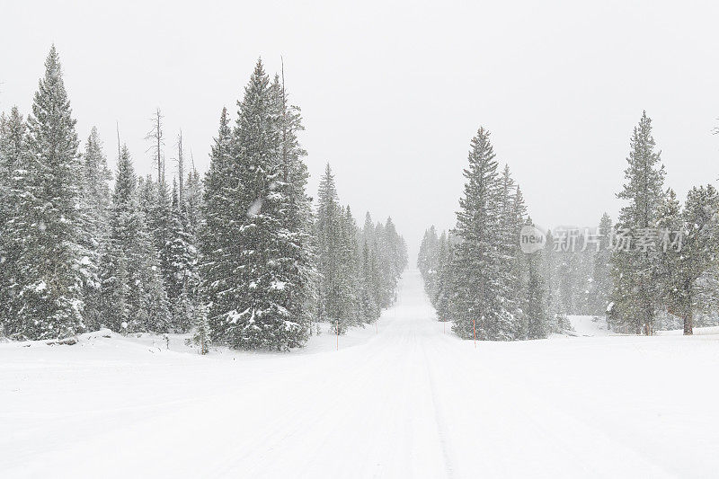 美国蒙大拿州黄石公园和库克城之间的高速公路大雪后的冬季景象