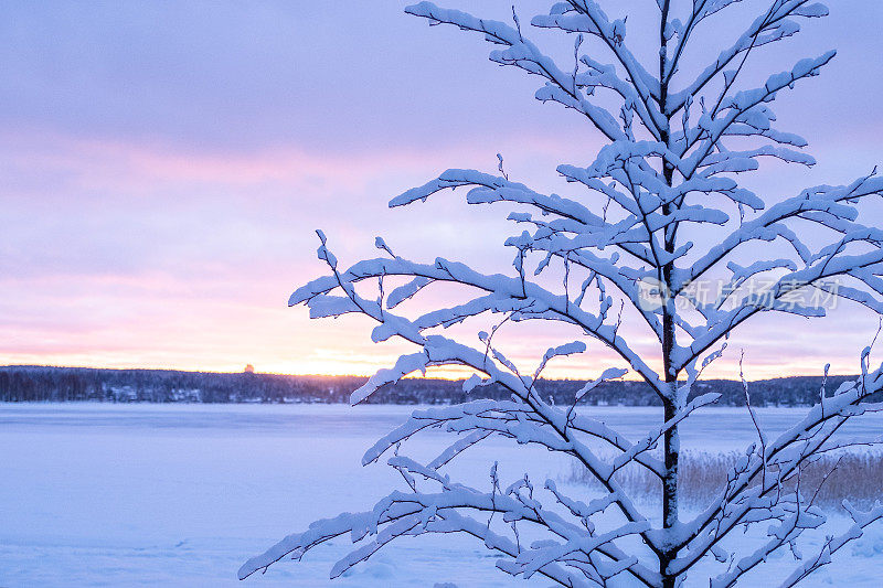 冬季景观和湖泊和城市公园的明亮日落。