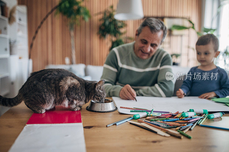 在家里，爷爷和孙子正在和一只宠物猫玩耍